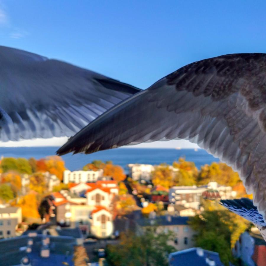 Pokoje Przy Plazy Z Widokiem Na Morze Sopot Exterior foto