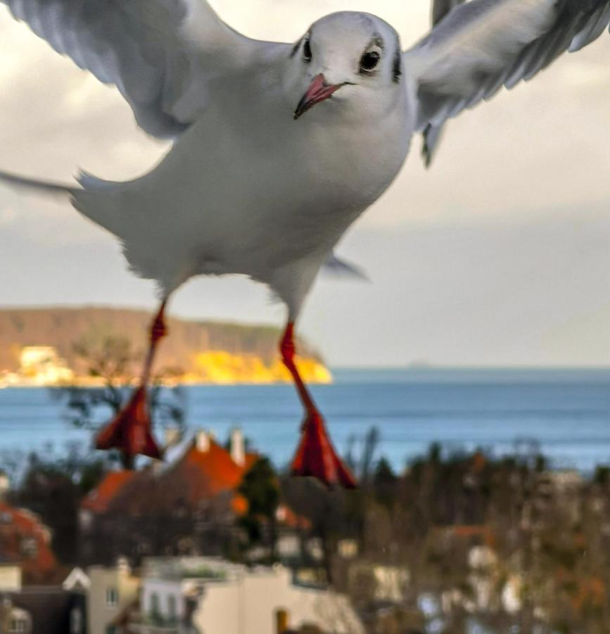 Pokoje Przy Plazy Z Widokiem Na Morze Sopot Exterior foto