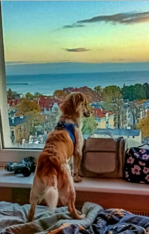 Pokoje Przy Plazy Z Widokiem Na Morze Sopot Exterior foto