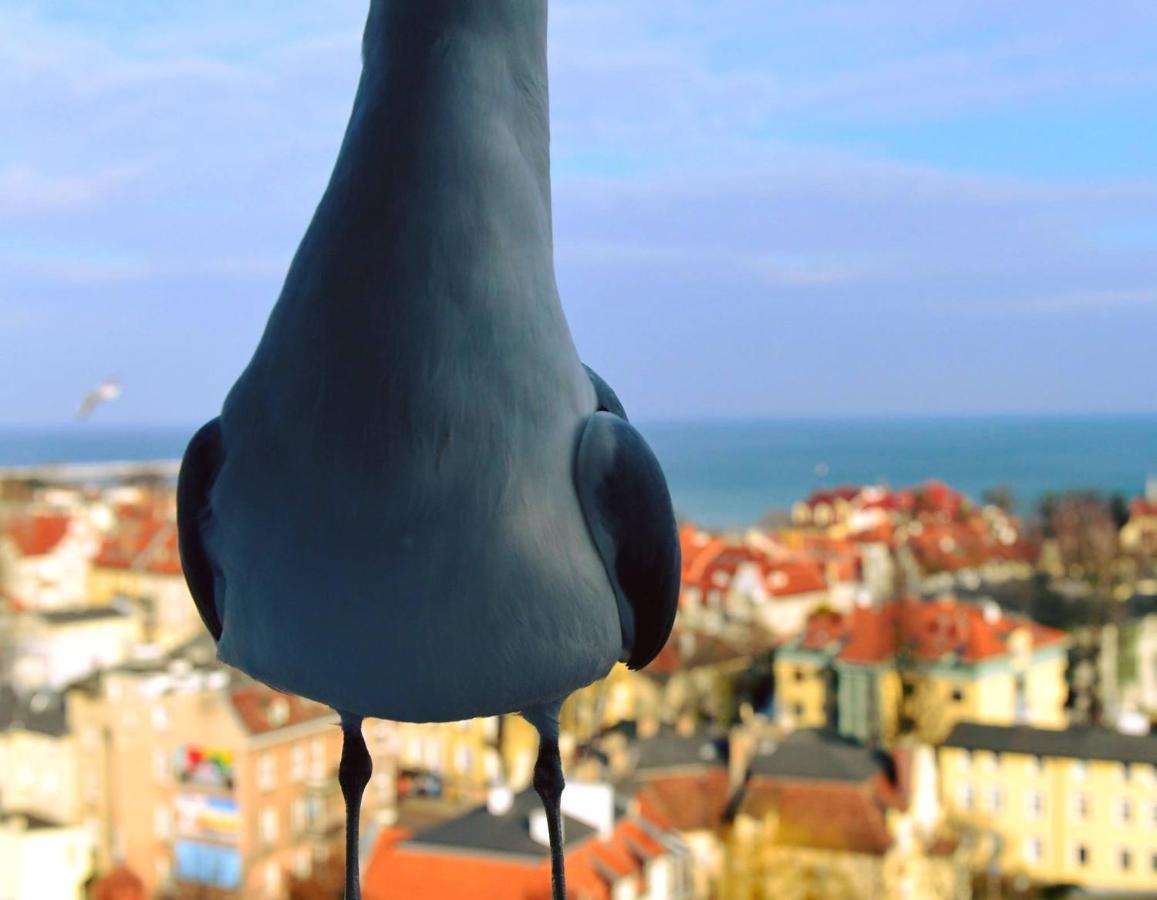 Pokoje Przy Plazy Z Widokiem Na Morze Sopot Exterior foto