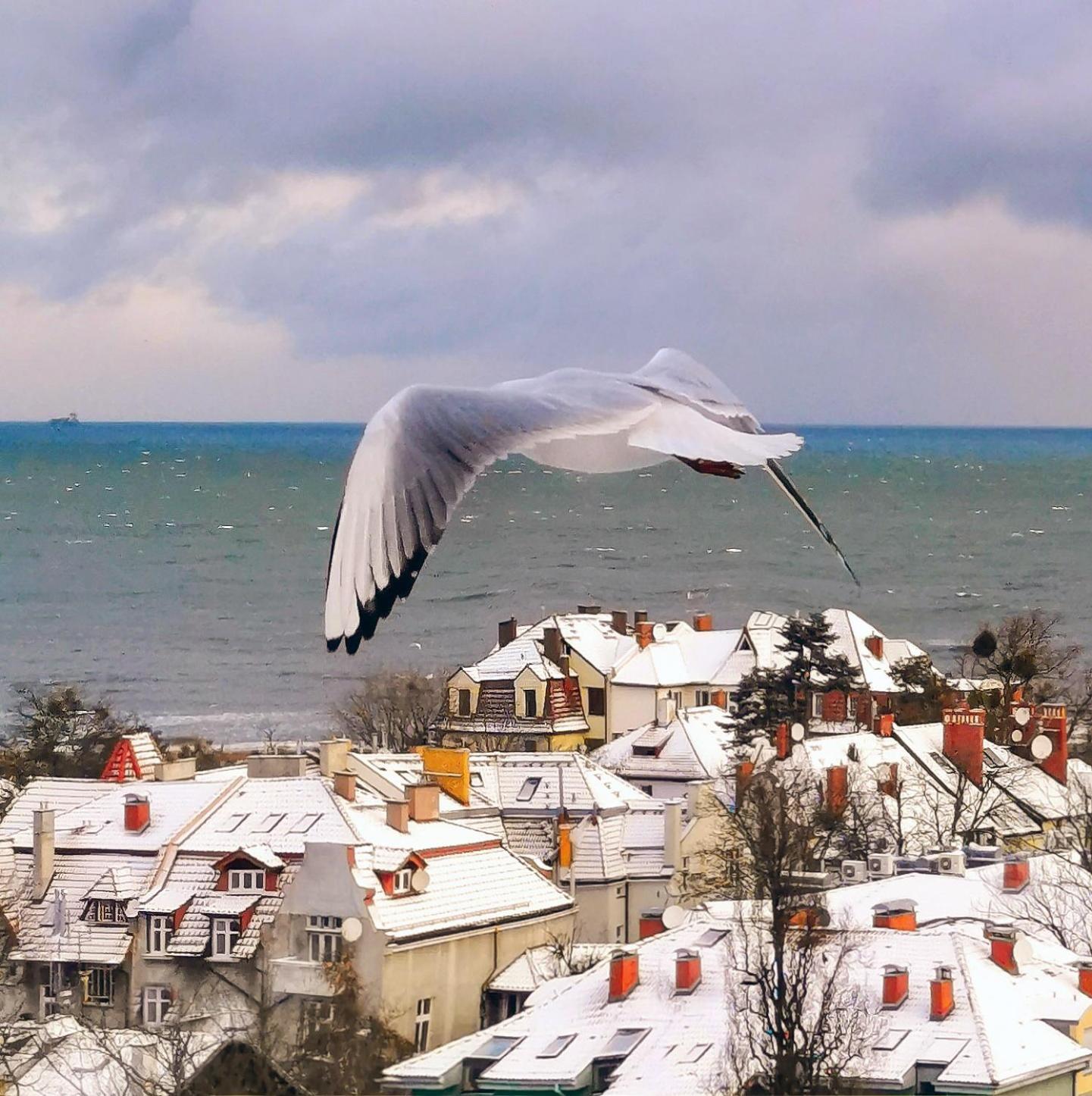 Pokoje Przy Plazy Z Widokiem Na Morze Sopot Exterior foto