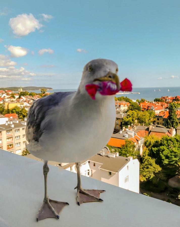 Pokoje Przy Plazy Z Widokiem Na Morze Sopot Exterior foto